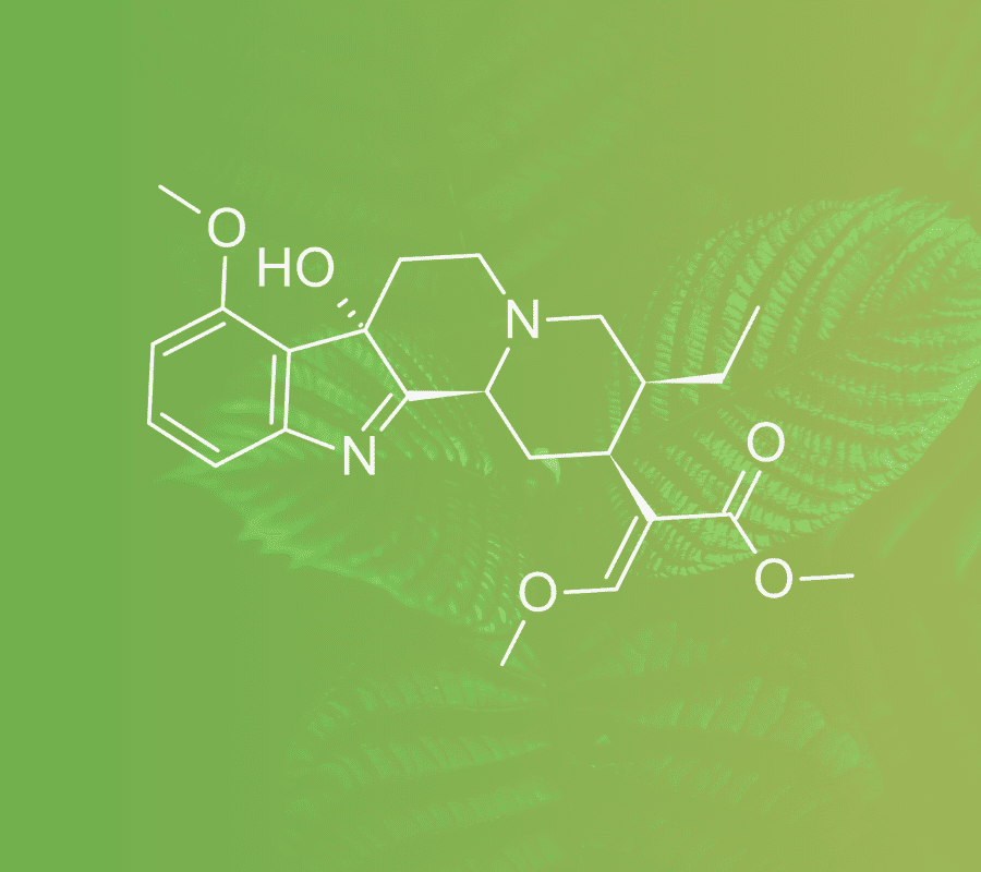7‑Hydroxymitragynine Mechanistic Study